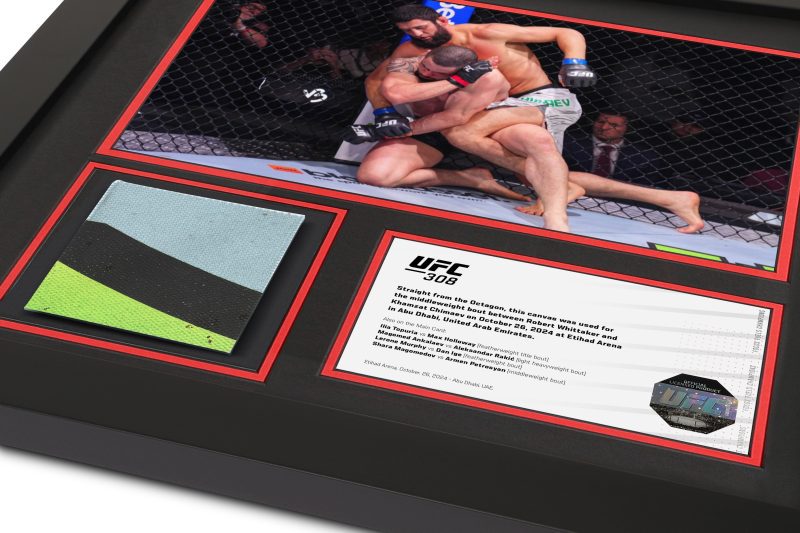 UFC 308 Mock Up 2 2 f0c7f5d5 e8b2 48a4 b7c9 ddbd988edd2b