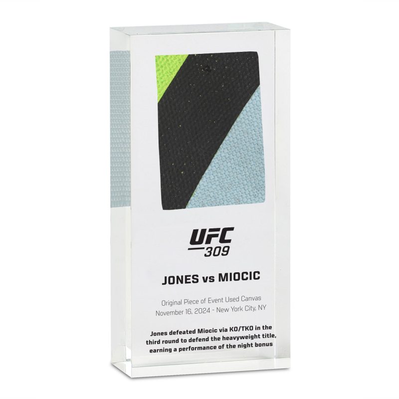 UFC 309 Canvas in Acrylic 1 e54979c0 4922 498c b0c9 5994aa777f25