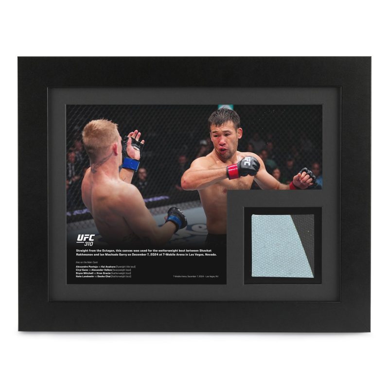 UFC 310 New Frame Canvas and Photo 1 6