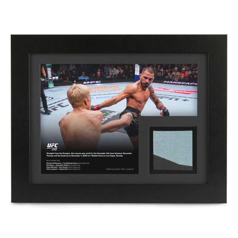 UFC 310 New Frame Canvas and Photo 1 8