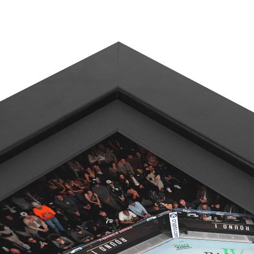 UFC 310 New Frame Canvas and Photo 3 7