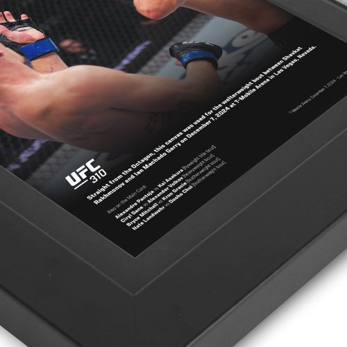 UFC 310 New Frame Canvas and Photo 4 6