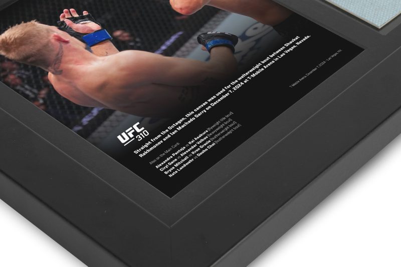 UFC 310 New Frame Canvas and Photo 4 6