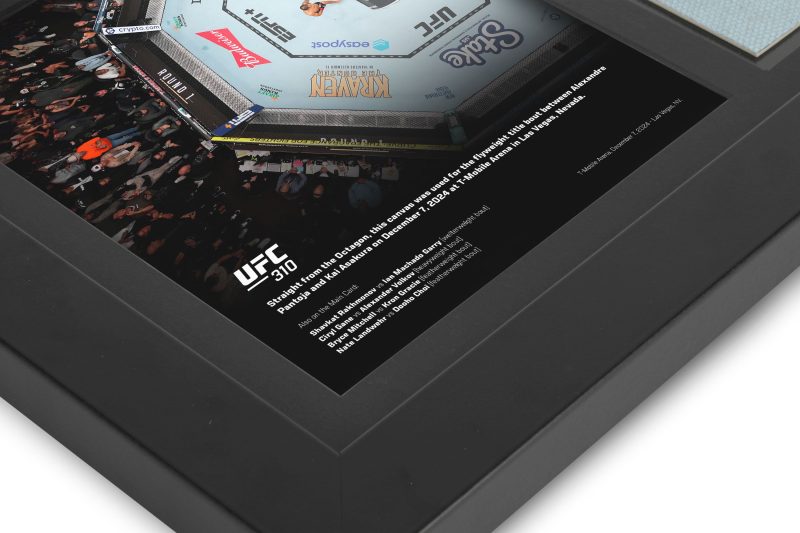 UFC 310 New Frame Canvas and Photo 4 7