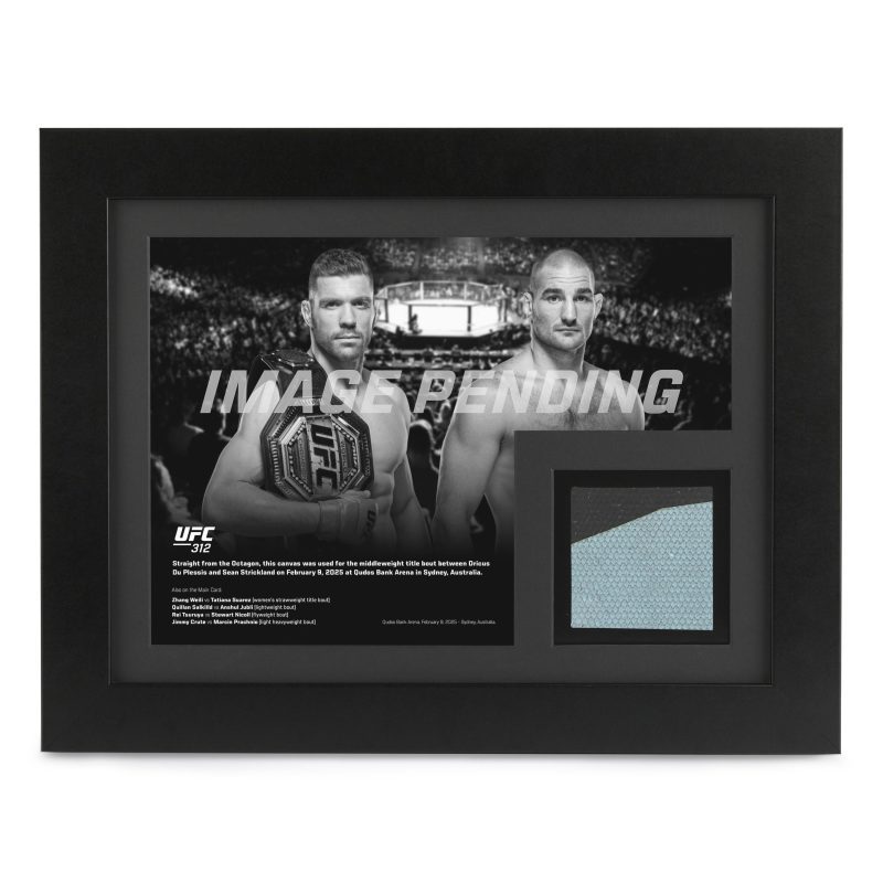 UFC 312 New Frame Canvas and Photo 1 3