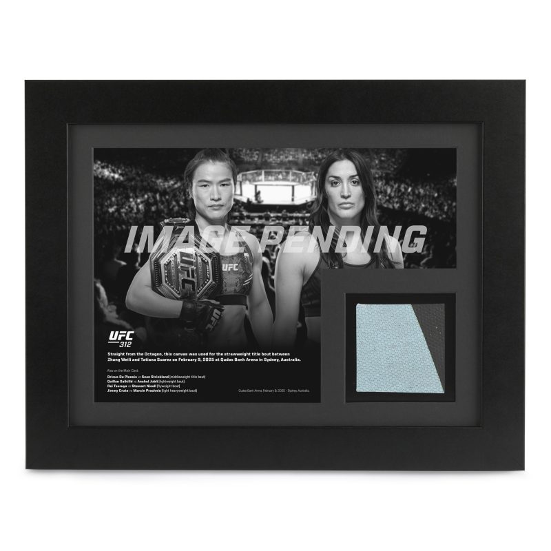 UFC 312 New Frame Canvas and Photo 1 4