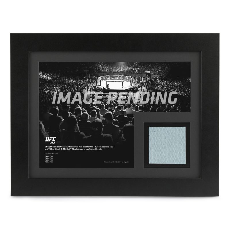 UFC 313 New Frame Canvas and Photo 1 1