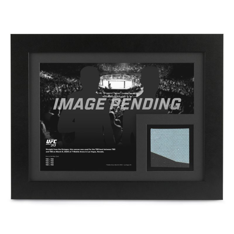 UFC 313 New Frame Canvas and Photo 1 2