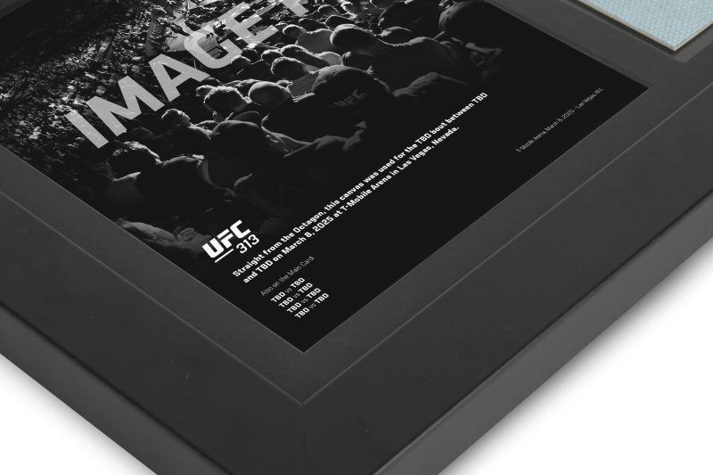 UFC 313 New Frame Canvas and Photo 4 1