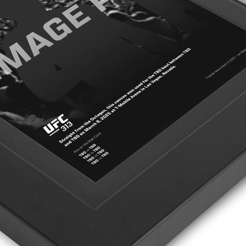 UFC 313 New Frame Canvas and Photo 4 2