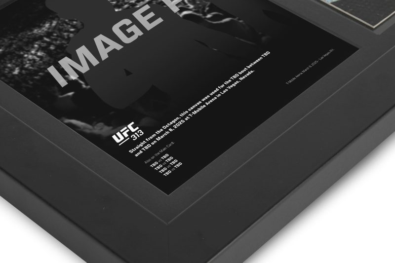 UFC 313 New Frame Canvas and Photo 4 2