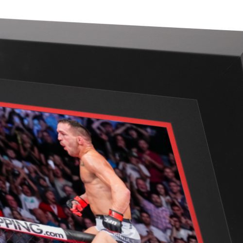 UFC Canvas Photo Michael Chandler Signed Canvas 4