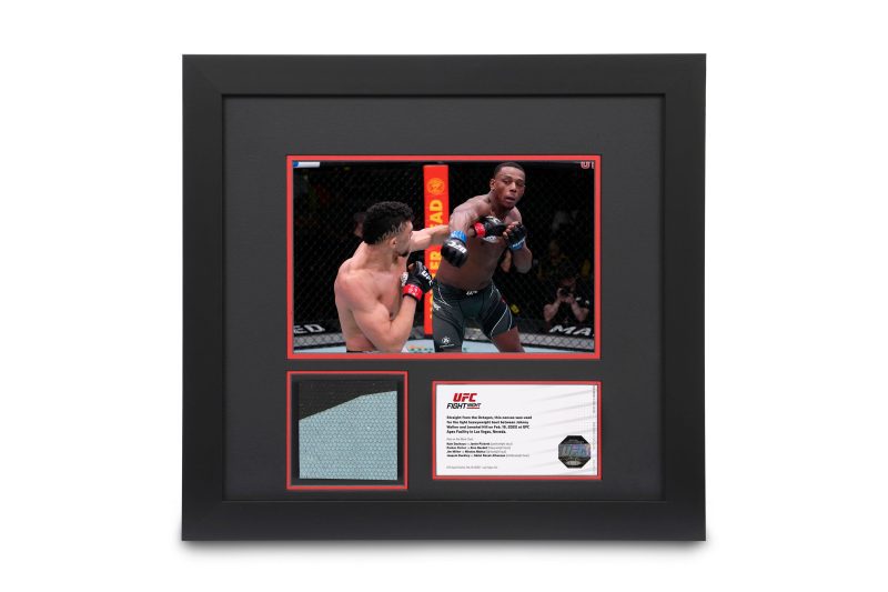 UFC FN Walker vs Hill Canvas Photo 1x1 4fc7cfa9 a0fb 4407 99a4 b1ce60d9b0c7