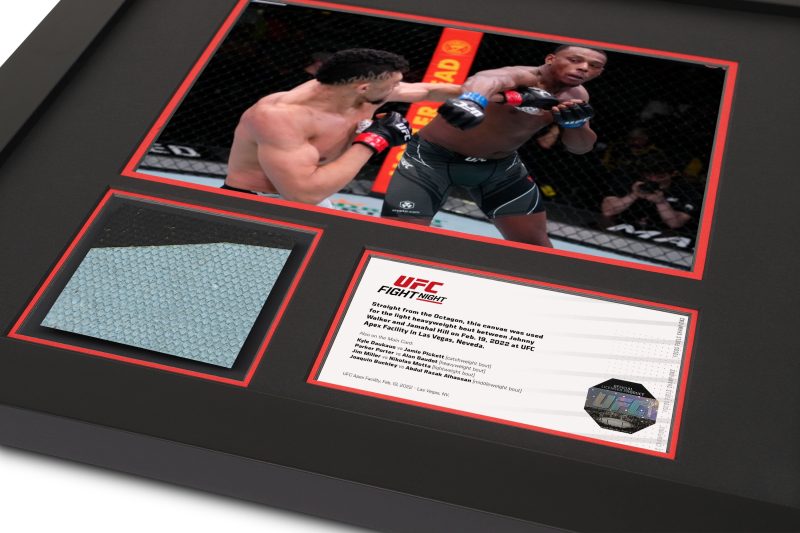 UFC FN Walker vs Hill Canvas Photo 2