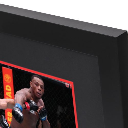 UFC FN Walker vs Hill Canvas Photo 4