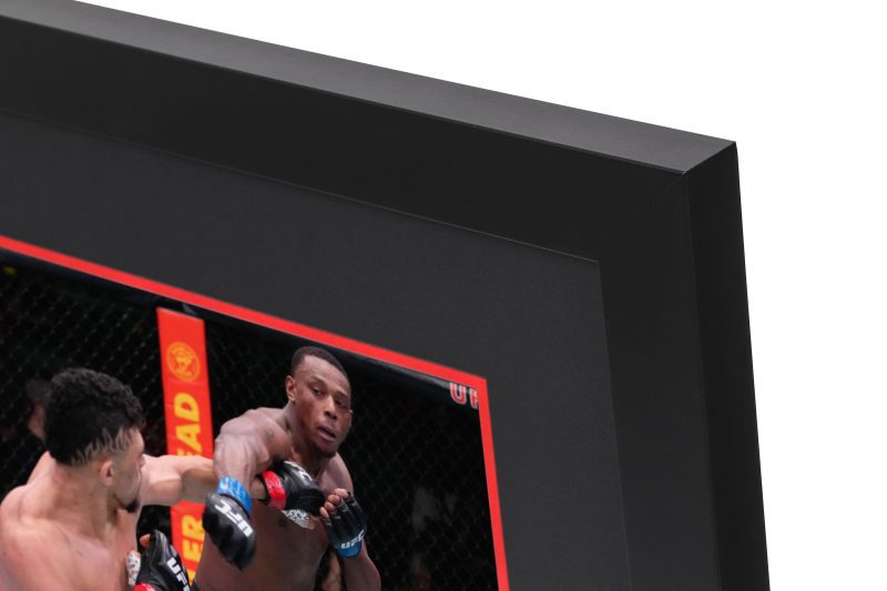 UFC FN Walker vs Hill Canvas Photo 4