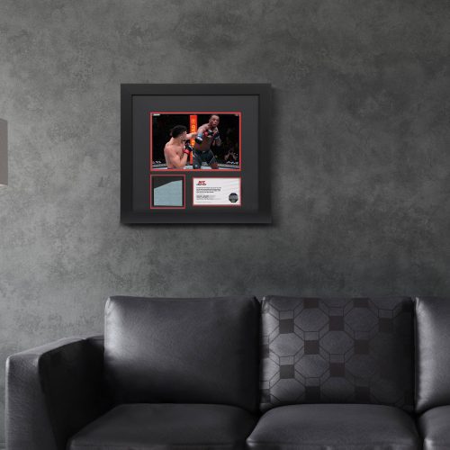 UFC FN Walker vs Hill Canvas Photo 5