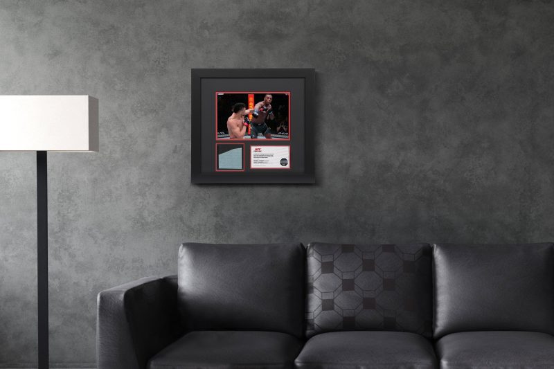 UFC FN Walker vs Hill Canvas Photo 5