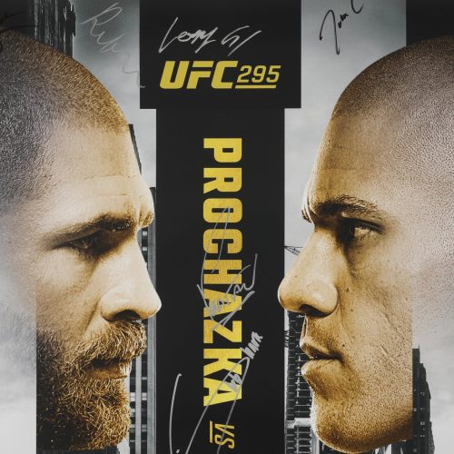 UFC 295 Prochazka vs Pereira 4