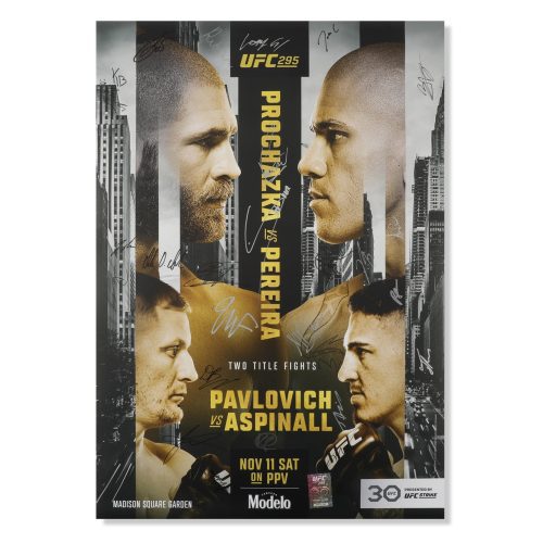 UFC 295 Prochazka vs Pereira 5