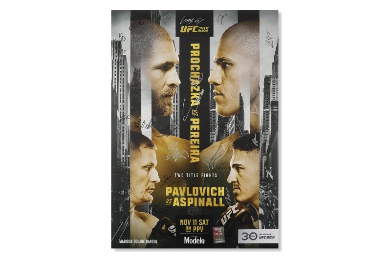 UFC 295 Prochazka vs Pereira 5