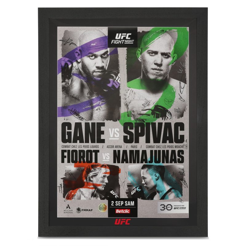 UFC FN Gane vs Spivac 1