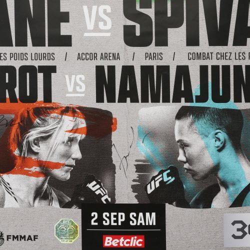 UFC FN Gane vs Spivac 4