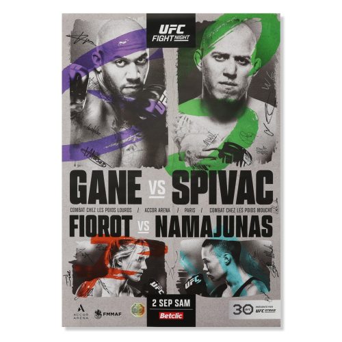 UFC FN Gane vs Spivac 5