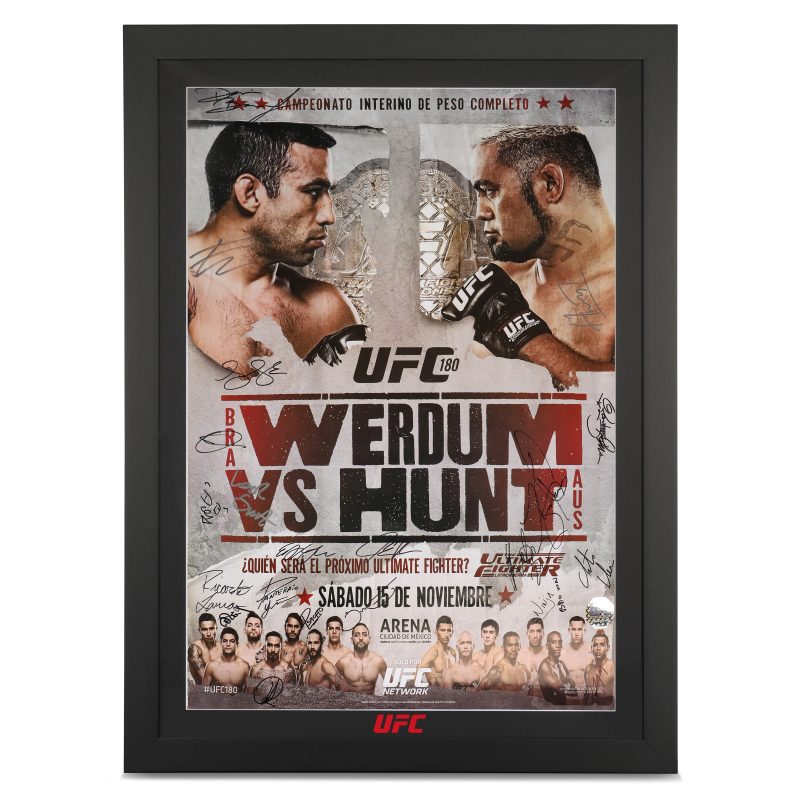 apufc180 werdum v hunt 1